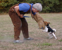 Schippi und Speedy